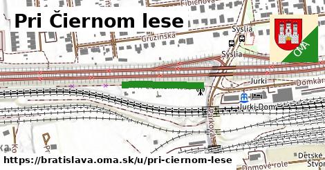 ilustrácia k Pri Čiernom lese, Bratislava - 189 m