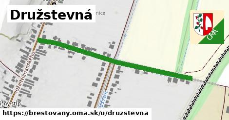 ilustrácia k Družstevná, Brestovany - 519 m