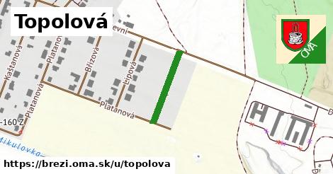 Topolová, Březí