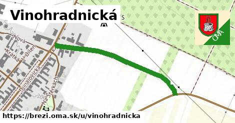 Vinohradnická, Březí