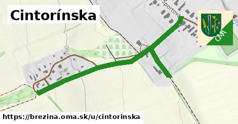 Cintorínska, Brezina