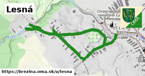 ilustrácia k Lesná, Brezina - 1,01 km