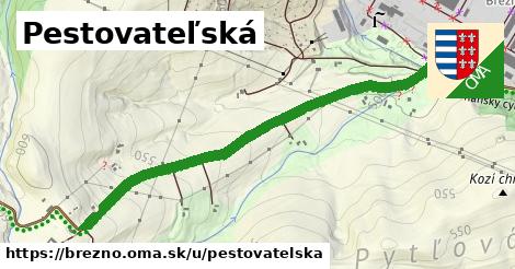 Pestovateľská, Brezno