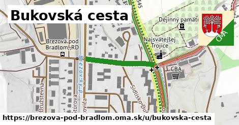 Bukovská cesta, Brezová pod Bradlom