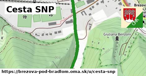 Cesta SNP, Brezová pod Bradlom