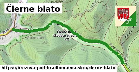 ilustrácia k Čierne blato, Brezová pod Bradlom - 1,39 km