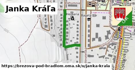 Janka Kráľa, Brezová pod Bradlom