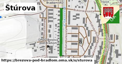 Štúrova, Brezová pod Bradlom