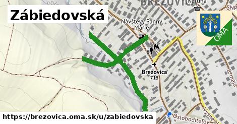 ilustrácia k Zábiedovská, Brezovica - 542 m