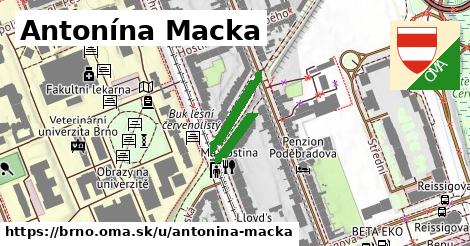 Antonína Macka, Brno