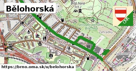 Bělohorská, Brno