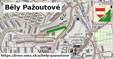 ilustrácia k Běly Pažoutové, Brno - 138 m