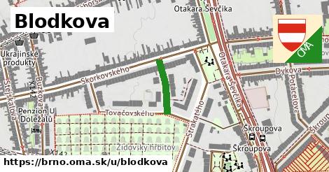 Blodkova, Brno