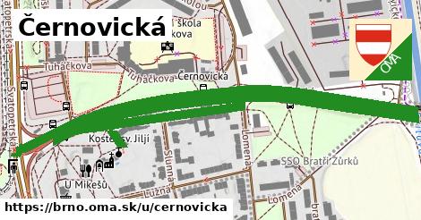 ilustrácia k Černovická, Brno - 1,72 km