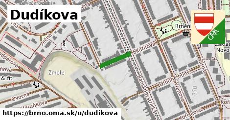 ilustrácia k Dudíkova, Brno - 105 m