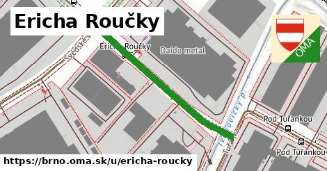 ilustrácia k Ericha Roučky, Brno - 398 m