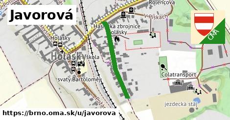 Javorová, Brno