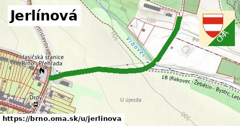 Jerlínová, Brno