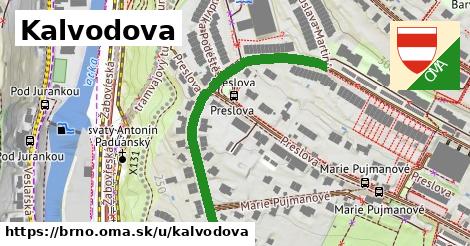 ilustrácia k Kalvodova, Brno - 495 m