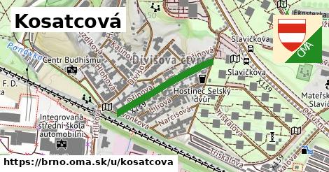 Kosatcová, Brno