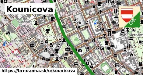 Kounicova, Brno