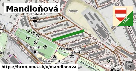 Mandloňová, Brno