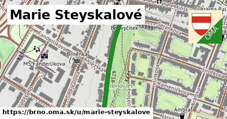 ilustrácia k Marie Steyskalové, Brno - 433 m