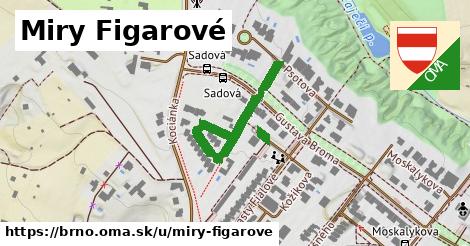 Miry Figarové, Brno