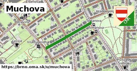 Muchova, Brno