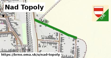 ilustrácia k Nad Topoly, Brno - 306 m