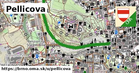 ilustrácia k Pellicova, Brno - 1,07 km