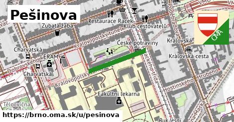 ilustrácia k Pešinova, Brno - 190 m