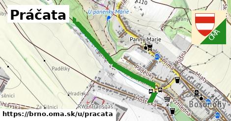 Práčata, Brno