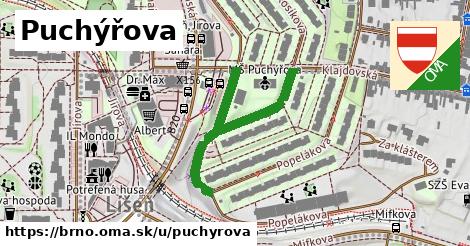 Puchýřova, Brno