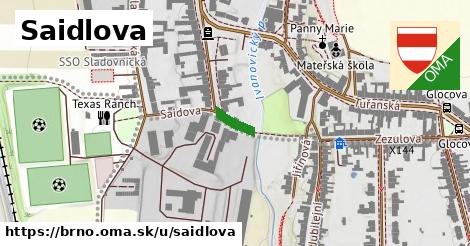 Saidlova, Brno