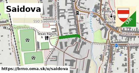 ilustrácia k Saidova, Brno - 111 m