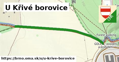 U Křivé borovice, Brno