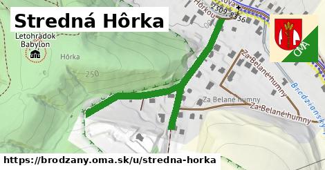 ilustrácia k Stredná Hôrka, Brodzany - 517 m