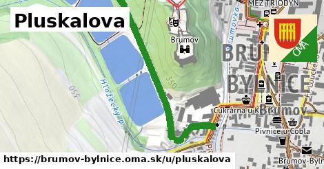 Pluskalova, Brumov-Bylnice