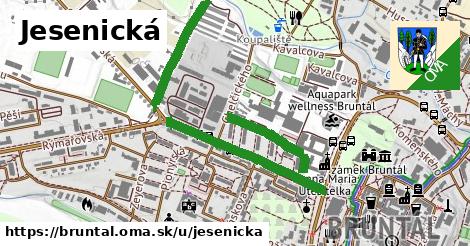 ilustrácia k Jesenická, Bruntál - 1,23 km