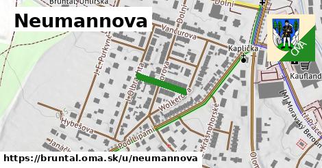 Neumannova, Bruntál