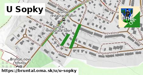 ilustrácia k U Sopky, Bruntál - 195 m