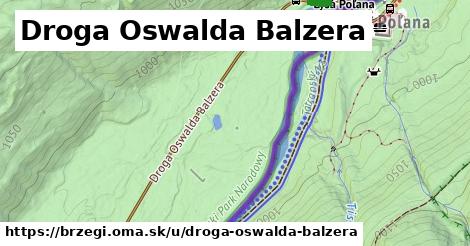 Droga Oswalda Balzera, Brzegi