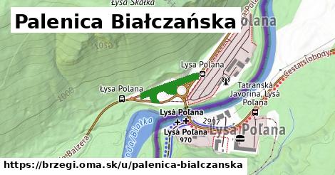 Palenica Białczańska, Brzegi