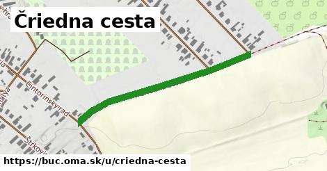 Čriedna cesta, Búč