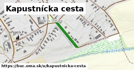 Kapustnícka cesta, Búč