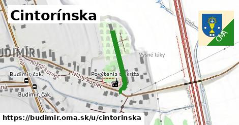 Cintorínska, Budimír