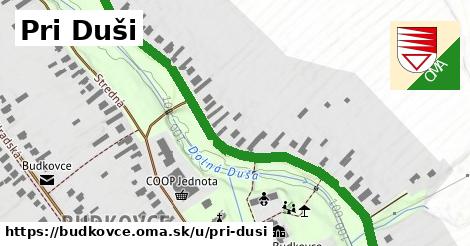 ilustrácia k Pri Duši, Budkovce - 0,78 km