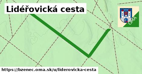 ilustrácia k Lidéřovická cesta, Bzenec - 1,12 km