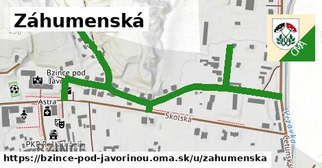 ilustrácia k Záhumenská, Bzince pod Javorinou - 0,84 km